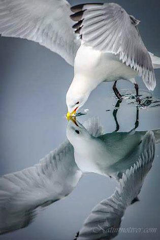 Beautiful Nature image