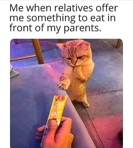 Memes & Satire image