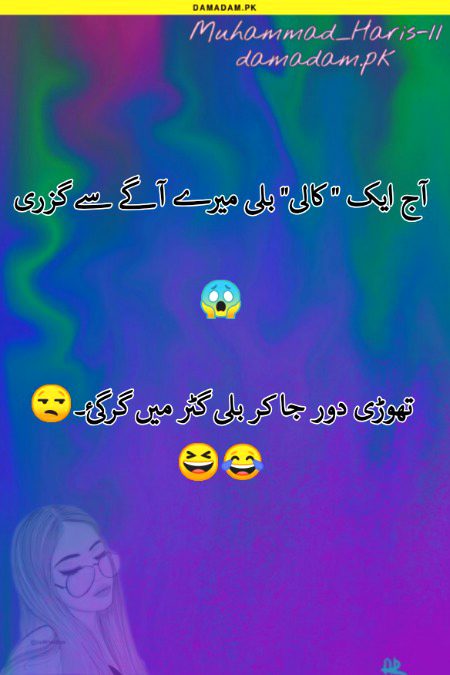 ___🙋__