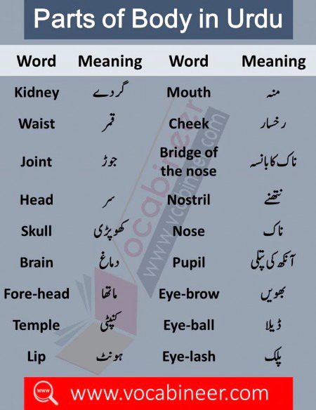 Tips for Students image