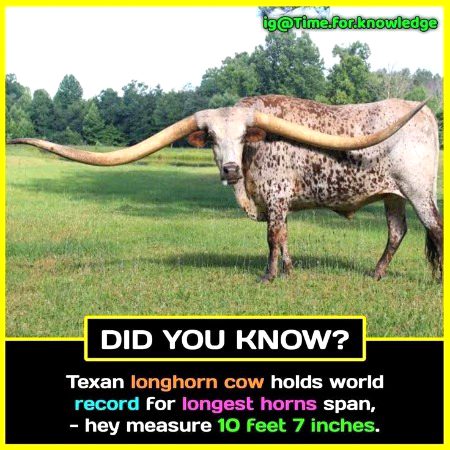 Interesting Posts image