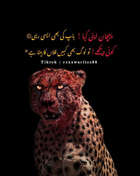 Attitude Quotes image