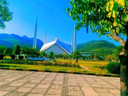 Beautiful Structures image