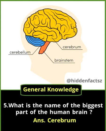 Knowledge Test image