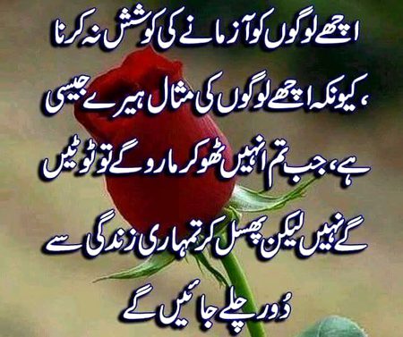 Acho ko Mt thukrao pehchno Saanaam ❣️❣️