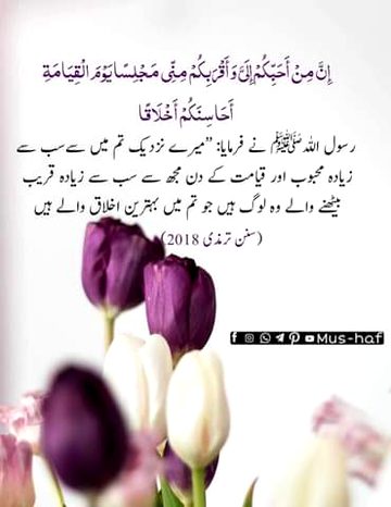 Islamic Quotes image