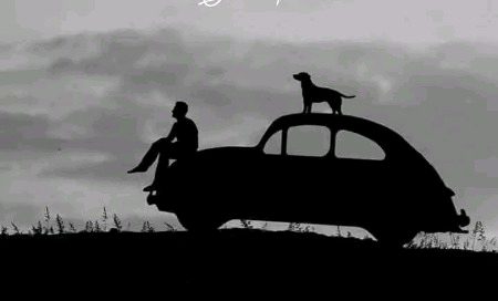 "معافیاں کبھی بھی ذہنی بربادی کا کفارہ ادا نہیں کر سکتیں."