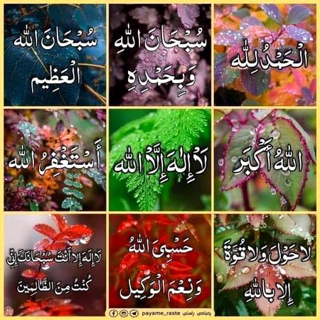 Islamic Quotes image