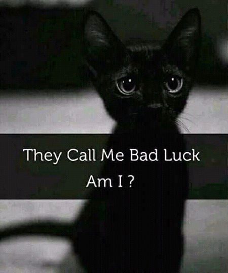 Am I???