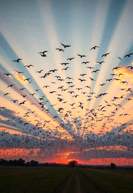 Beautiful Nature image