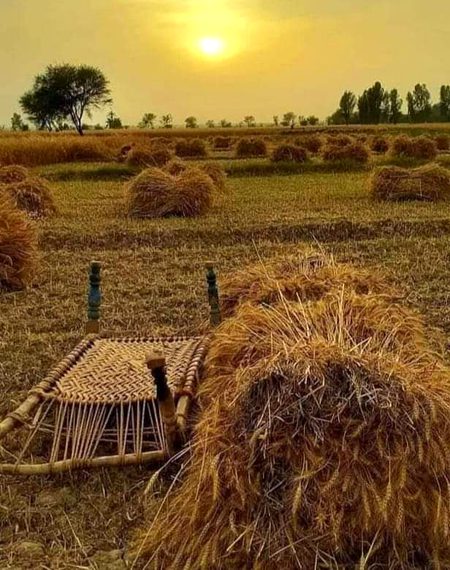 Beautiful Nature image