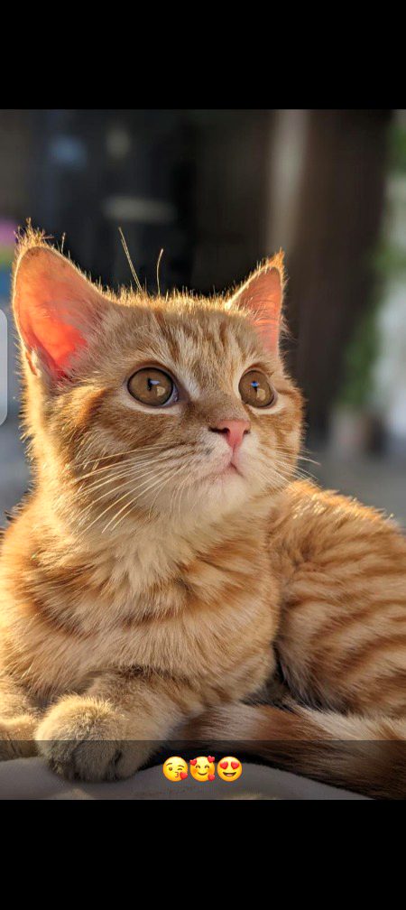 Beautiful Nature image