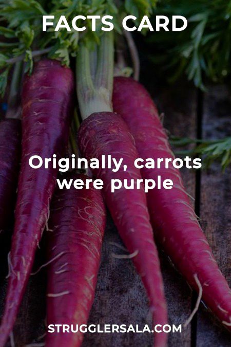 Interesting Posts image