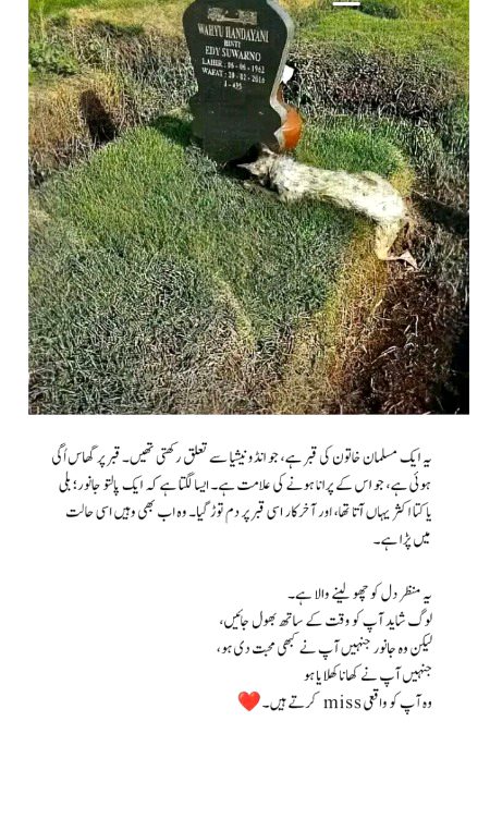 Motivational Quotes image