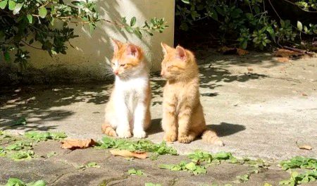 Beautiful Nature image