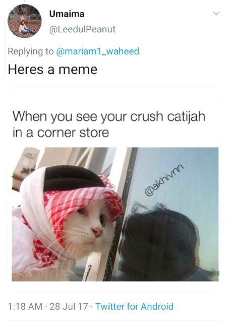 Memes and Satire