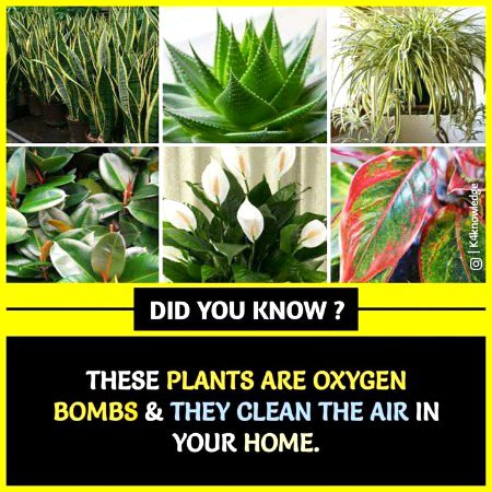 Interesting Posts image