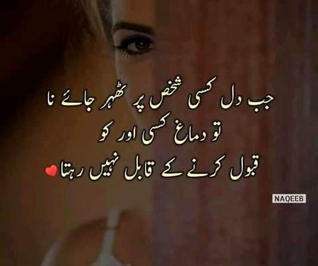 راس آتی ہے محبت بھی کئ لوگوں کو 🥀🥀
وہ بھی عرشوں سے اتارے تو نہیں ہوتے نہ 💫💫
اور ایک ہی شخص ہوتا ہے متاعِِ دل و جاں 💞
دل میں اب لوگ بھی تو سارے نہیں ہوتے نہ 💔🥀🥀
