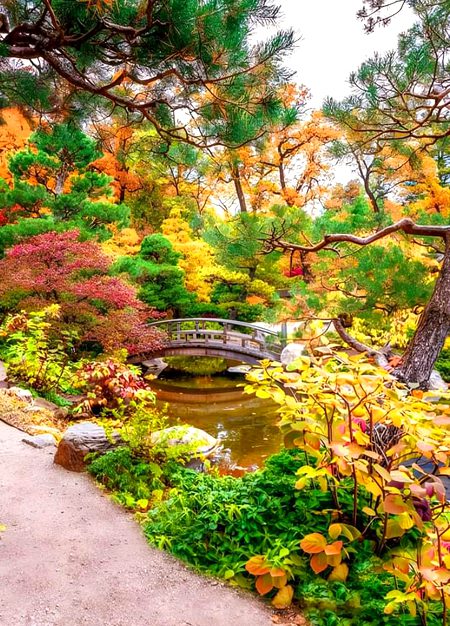 Beautiful Nature image