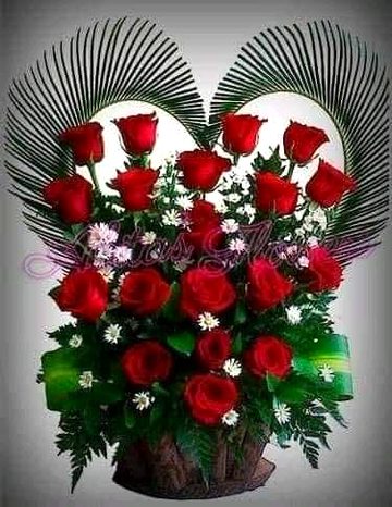 Nicee💞💞💞💞