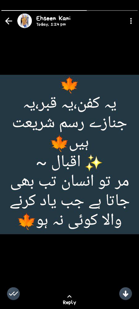 Sad Poetry image