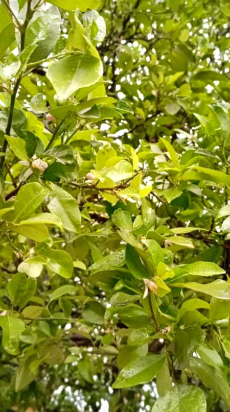 Musam.👌🌹🥰😍😍