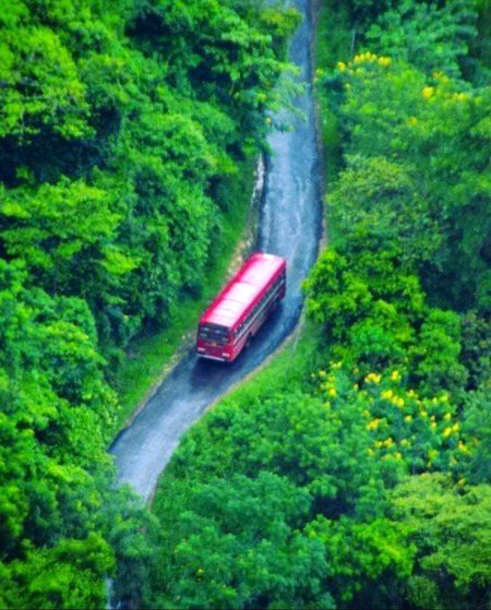 Beautiful nature💚💚💚
