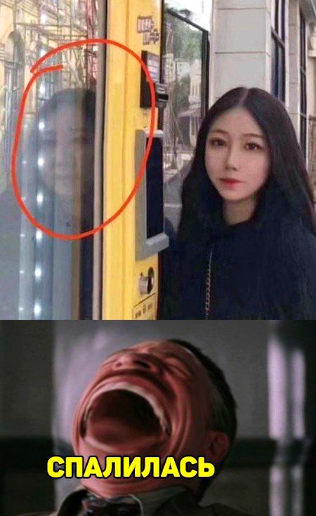 Memes & Satire image