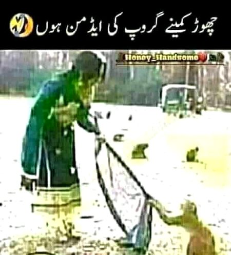 Yhi DD ki Admin larky,,