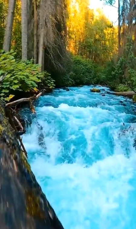 Beautiful Nature image