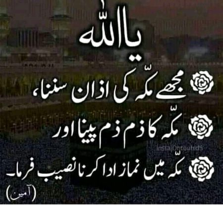 Ameen 🌸✍️🌸