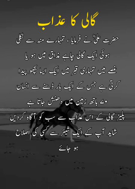 Islamic Quotes image