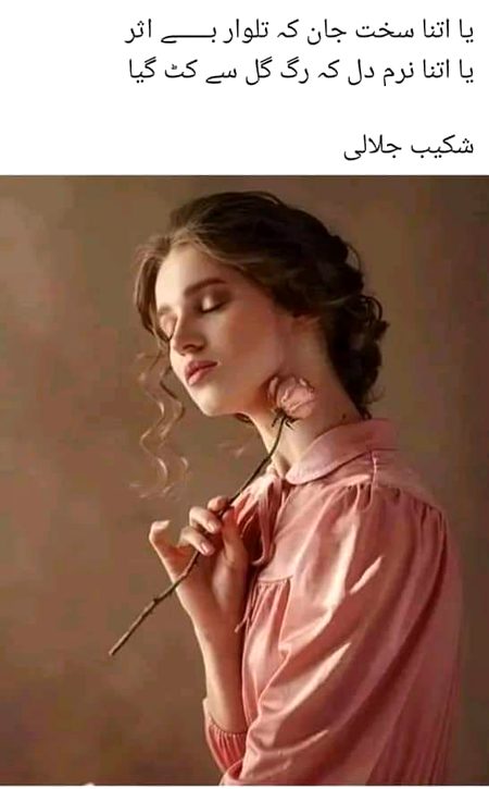 Gull say kat gaye