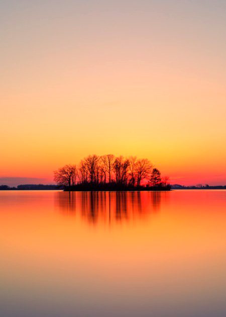 Beautiful Nature image