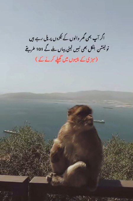 Jokes image