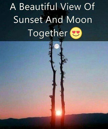 Beautiful Nature image