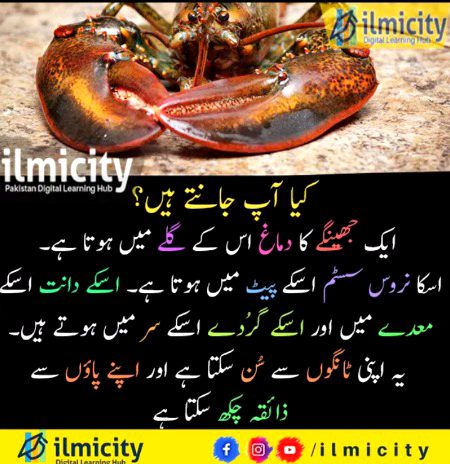 Interesting Posts image