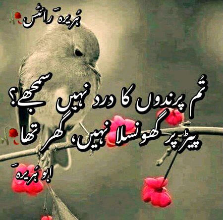 Sad Poetry image