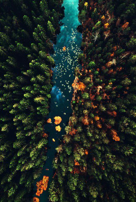 Beautiful Nature image