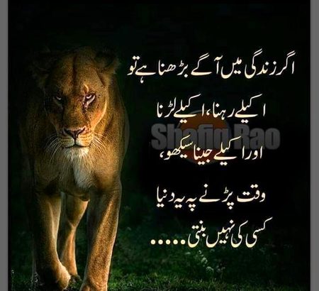 Attitude Quotes image