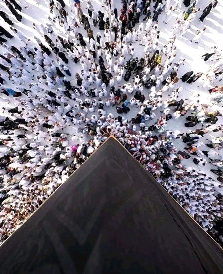 تم نے دیکھی سیاہ رنگ کی کشش🖤_
ساری سفیدیاں اس سیاہ پر قربان🤍_