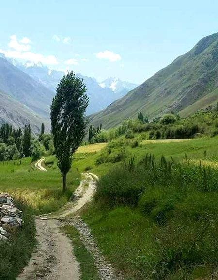 Beautiful Nature image