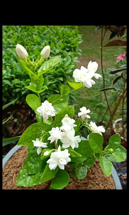 Beautiful Nature image