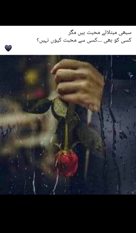 اب تو جاتے ہیں بت کدے سے میرؔ پھر ملیں گے اگر خدا لایا