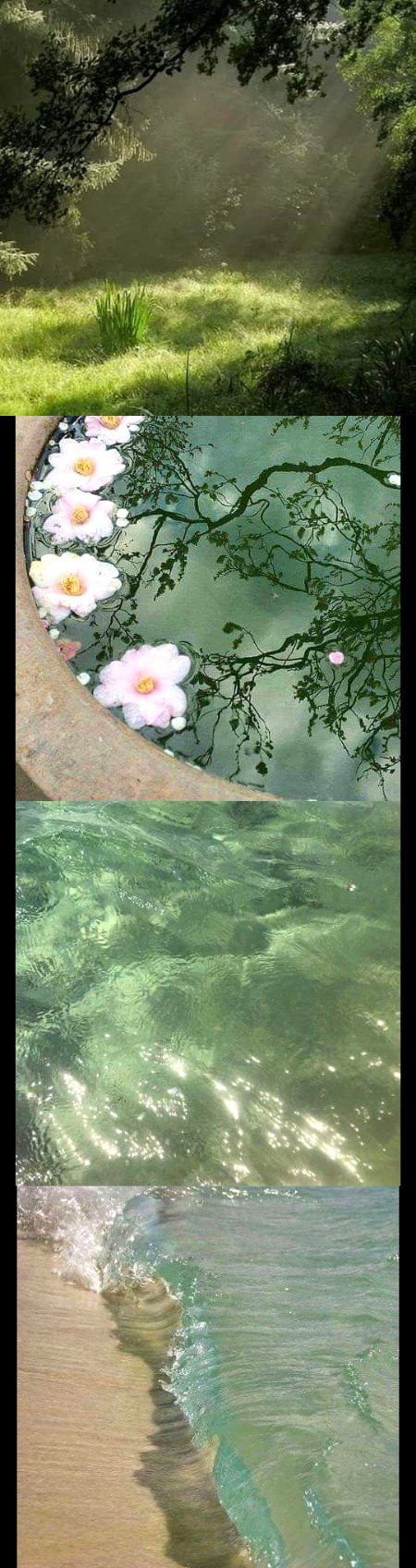 Beautiful Nature image