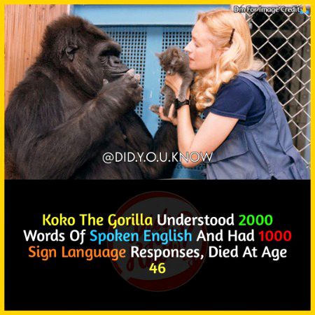 Interesting Posts image