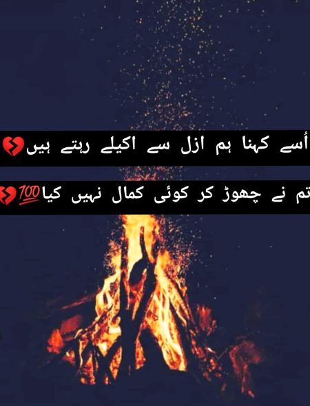 کوئی کمال نہیں کیا 💯 💔