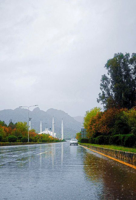 Beautiful Nature image