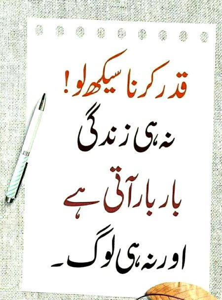 🍁Zoq_Shab🍁