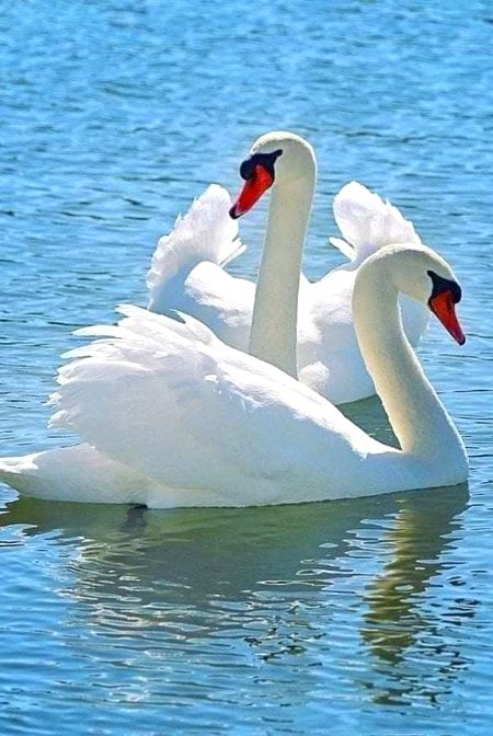 Beautiful Nature image